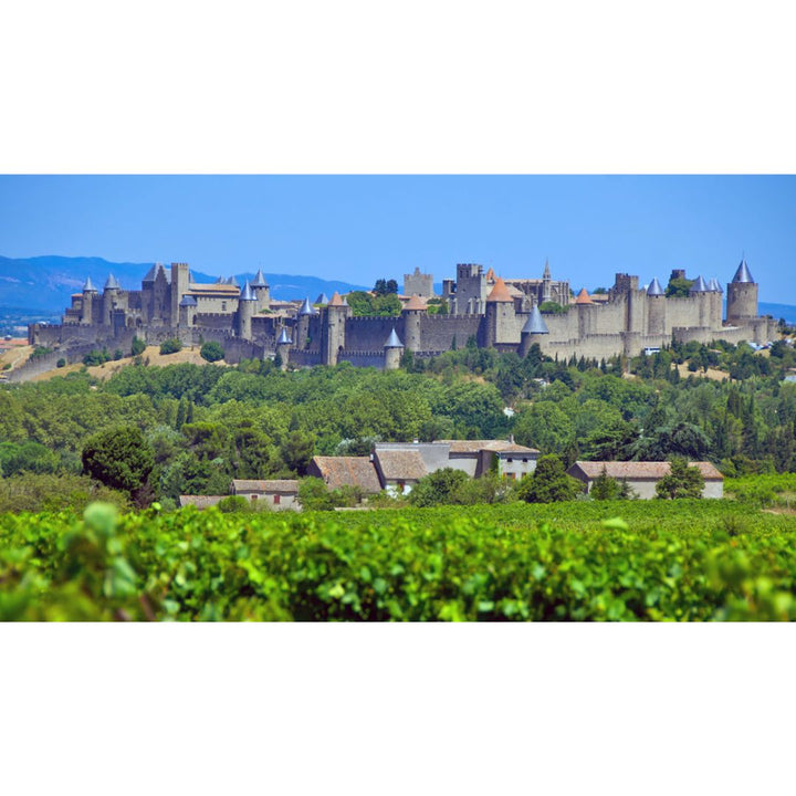 Pierre et Antonin Chardonnay I.G.P. Cité de Carcassonne