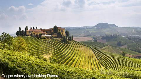 Barolo DOCG “Cascina Nuova”