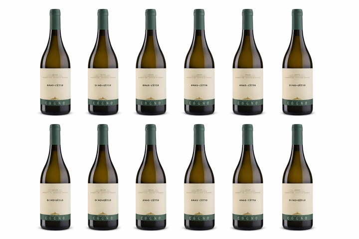 Langhe Nascetta del Comune di Novello DOC “Anas-Cëtta”