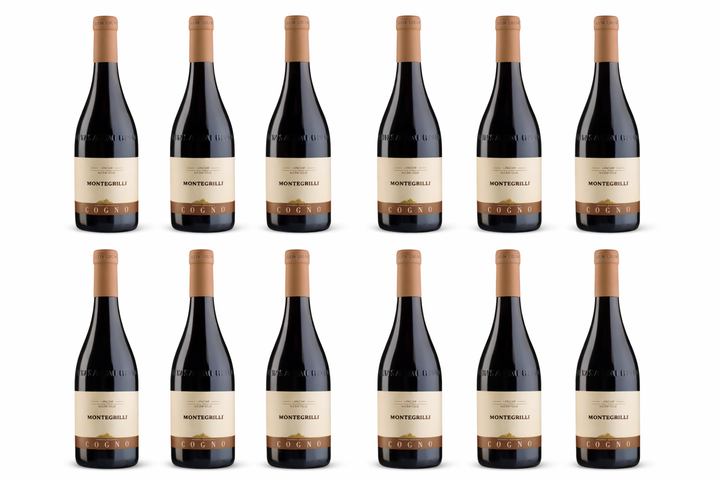 2024 Elvio Cogno Langhe Nebbiolo "Montegrilli"