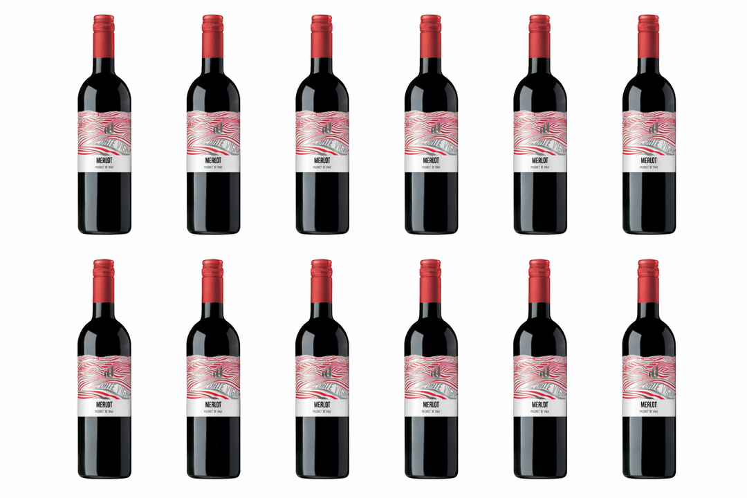 Merlot Vino d’Italia