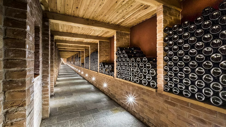 2023 Nebbiolo D'Alba DOC